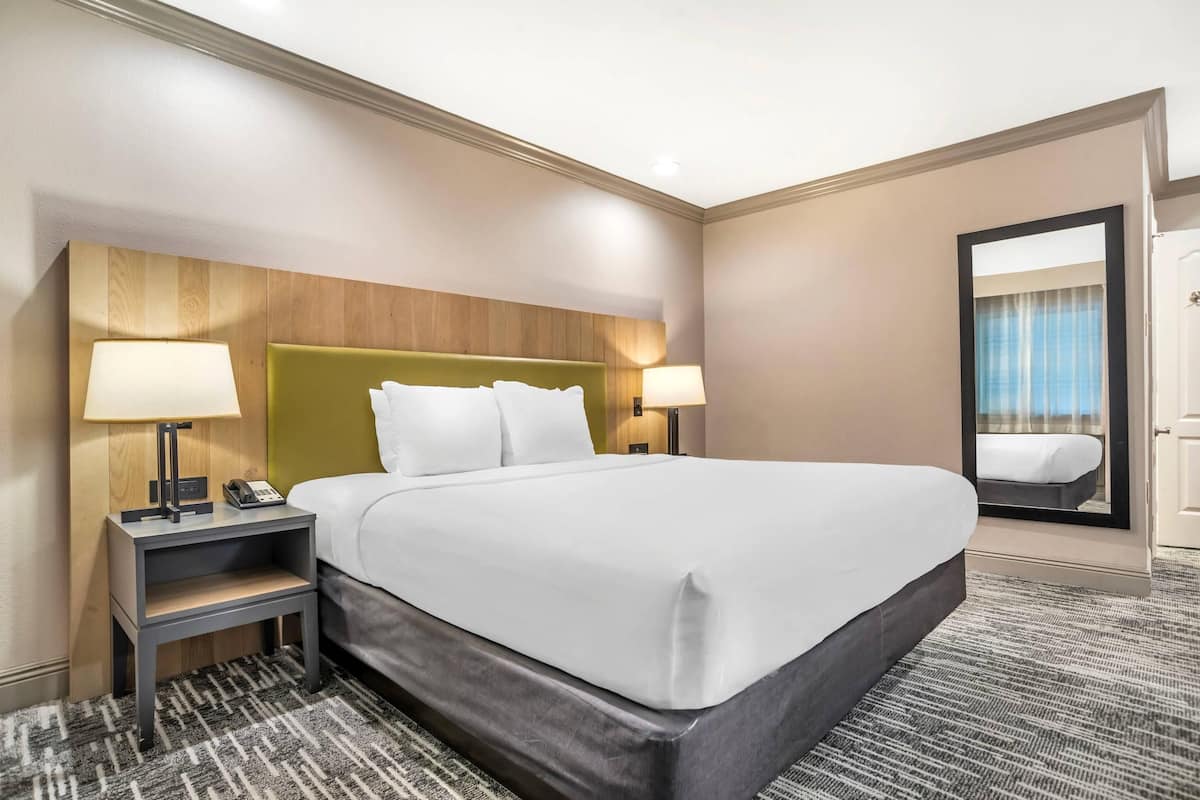 A hotel room with a large bed, two bedside lamps, a nightstand, a mirror, and a carpeted floor.