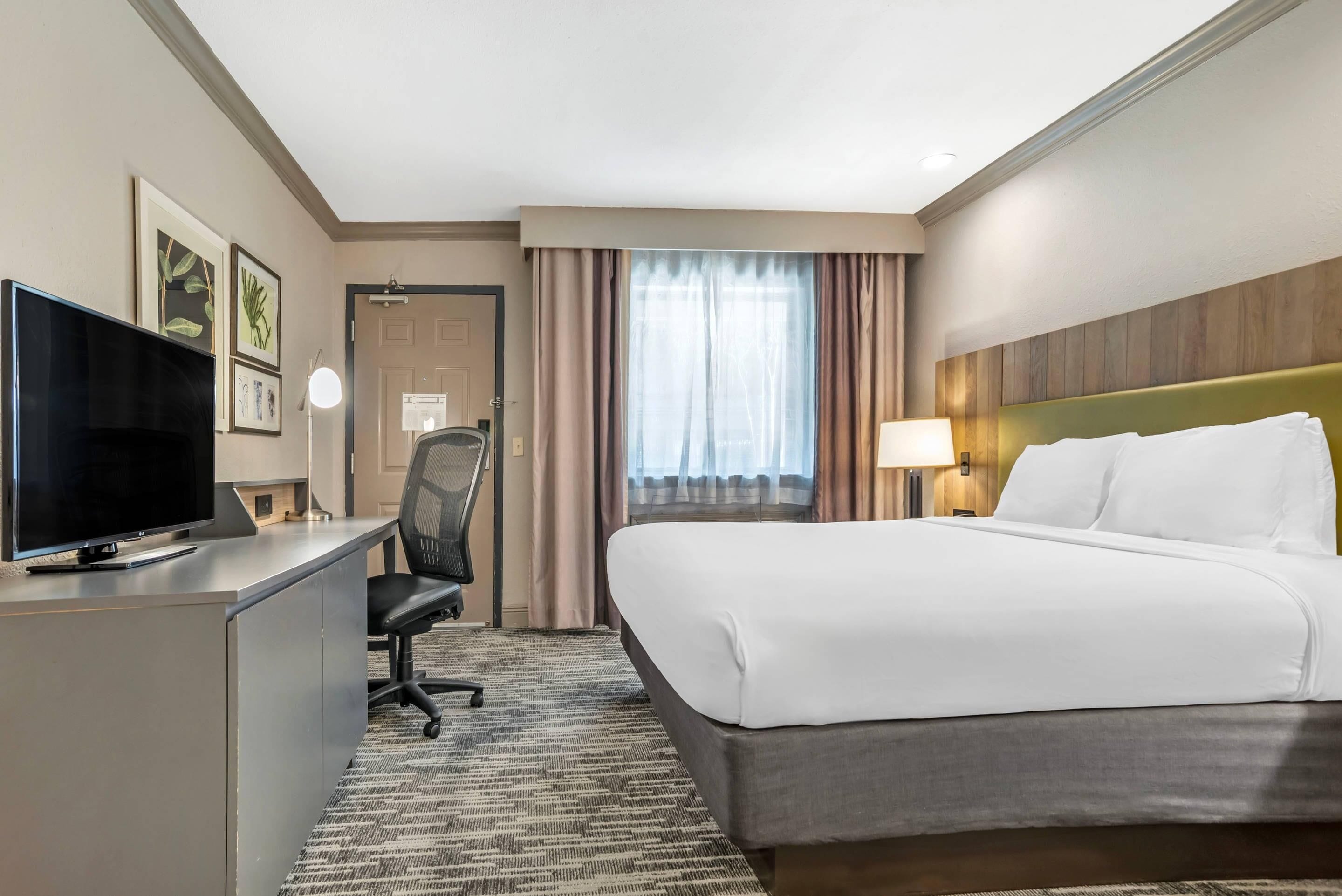 A hotel room with a bed, a desk with a TV, a chair, a lamp, and a window with curtains.