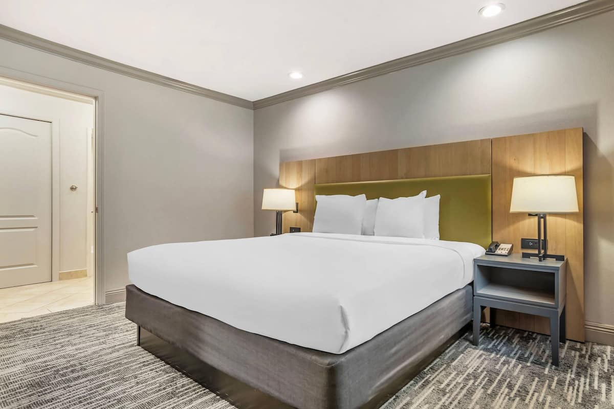 A hotel room with a large bed, two bedside tables with lamps, a wooden headboard, and a carpeted floor.