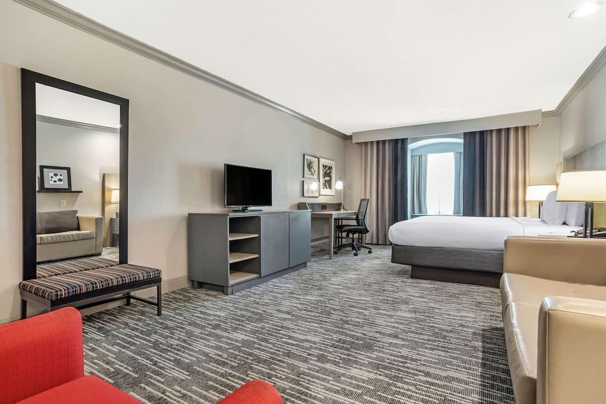 Studiosuite, 1 King-Bett und Schlafsofa, Nichtraucher
