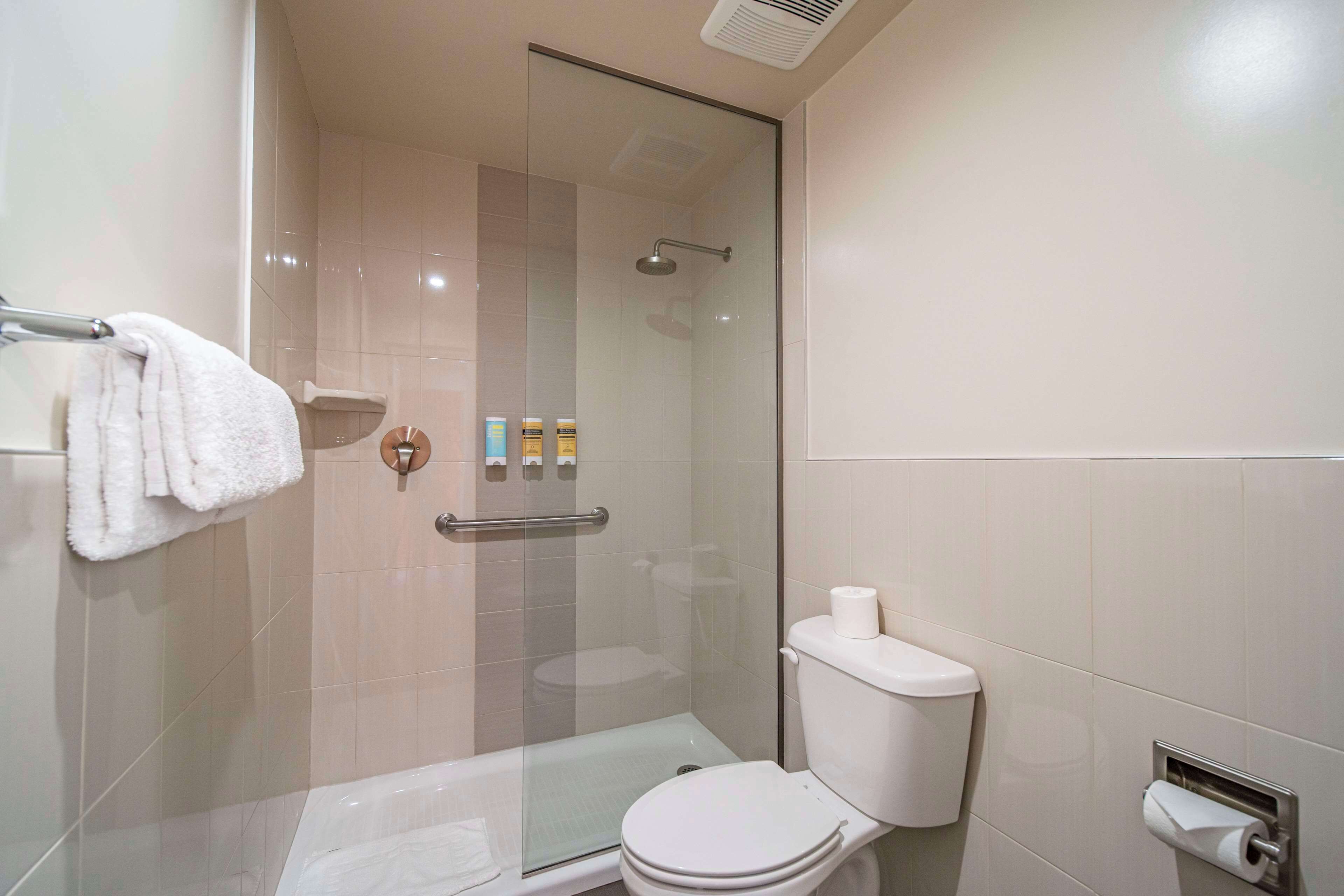 standard room, 2 double beds, non smoking, refrigerator | bathroom | hydromassage showerhead, free toiletries, hair dryer, towels