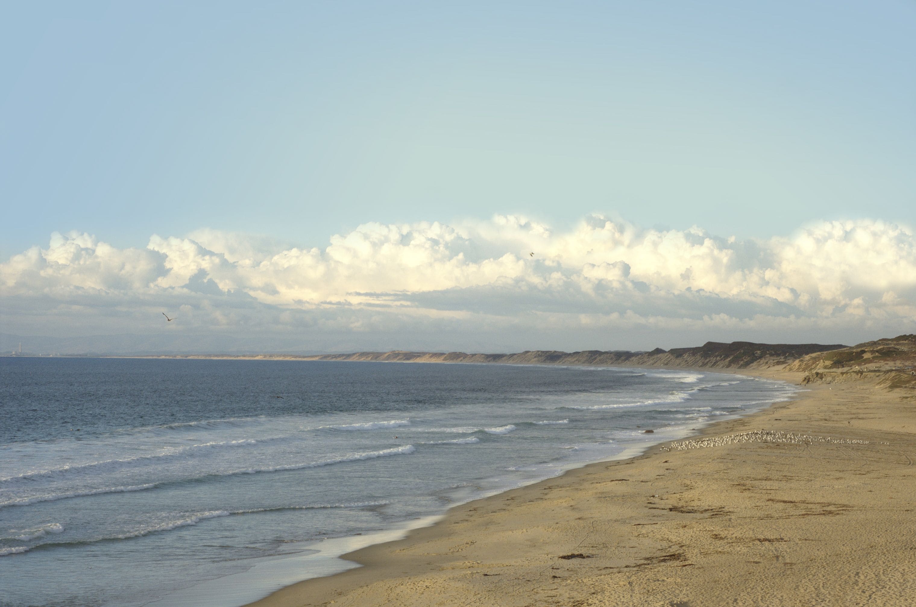 A beach with a sandy shore and a clear sky.