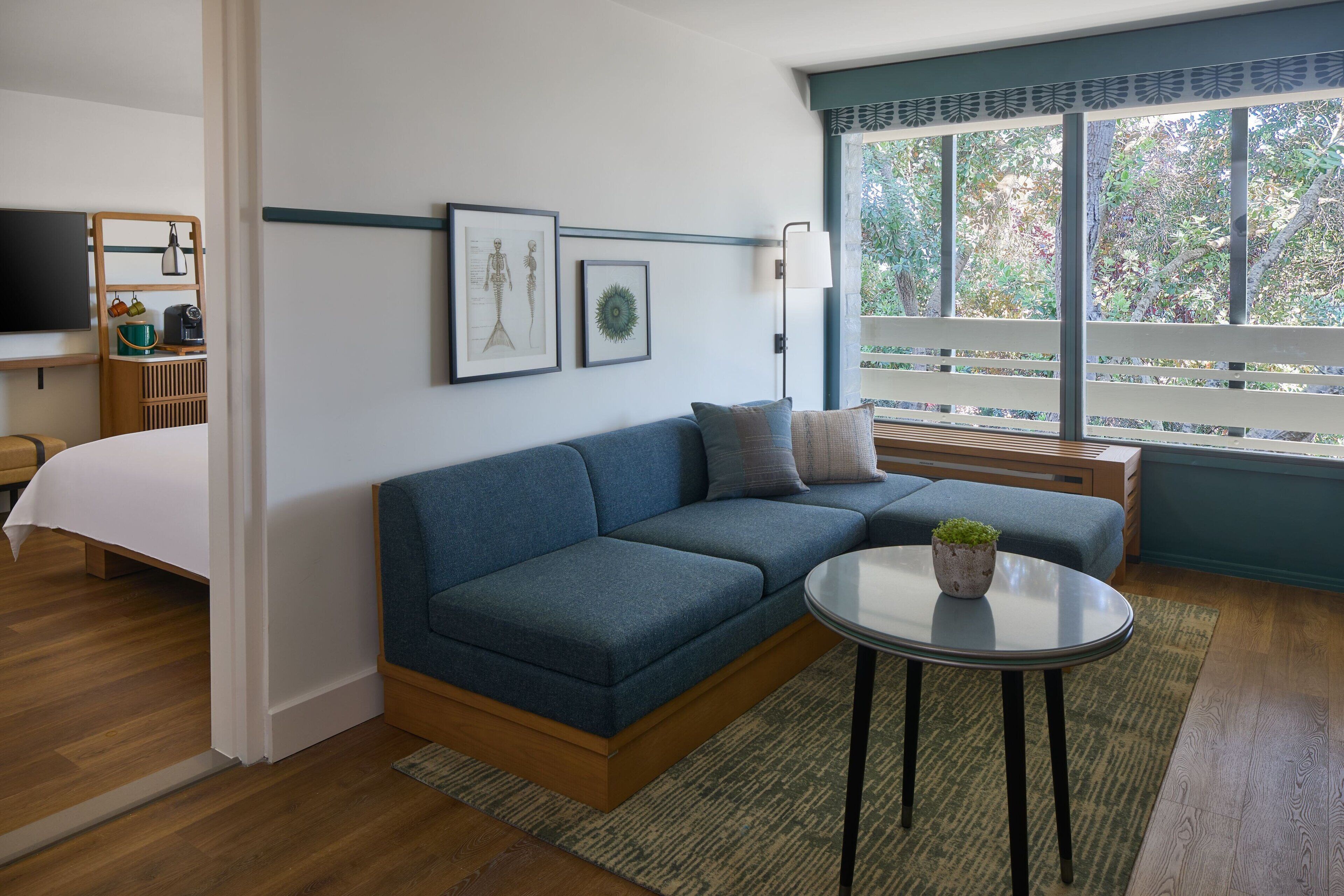Une chambre d’hôtel moderne avec un canapé bleu, une petite table ronde ornée d’une plante, un lit, une télévision et une fenêtre donnant sur des arbres.
