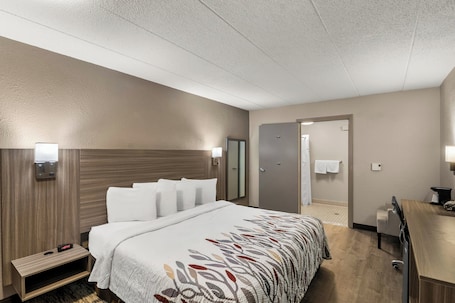 Superior Room, 1 King Bed, Accessible, Non Smoking (Roll-In Shower) | 1 bedroom, desk, laptop workspace, free cribs/infant beds