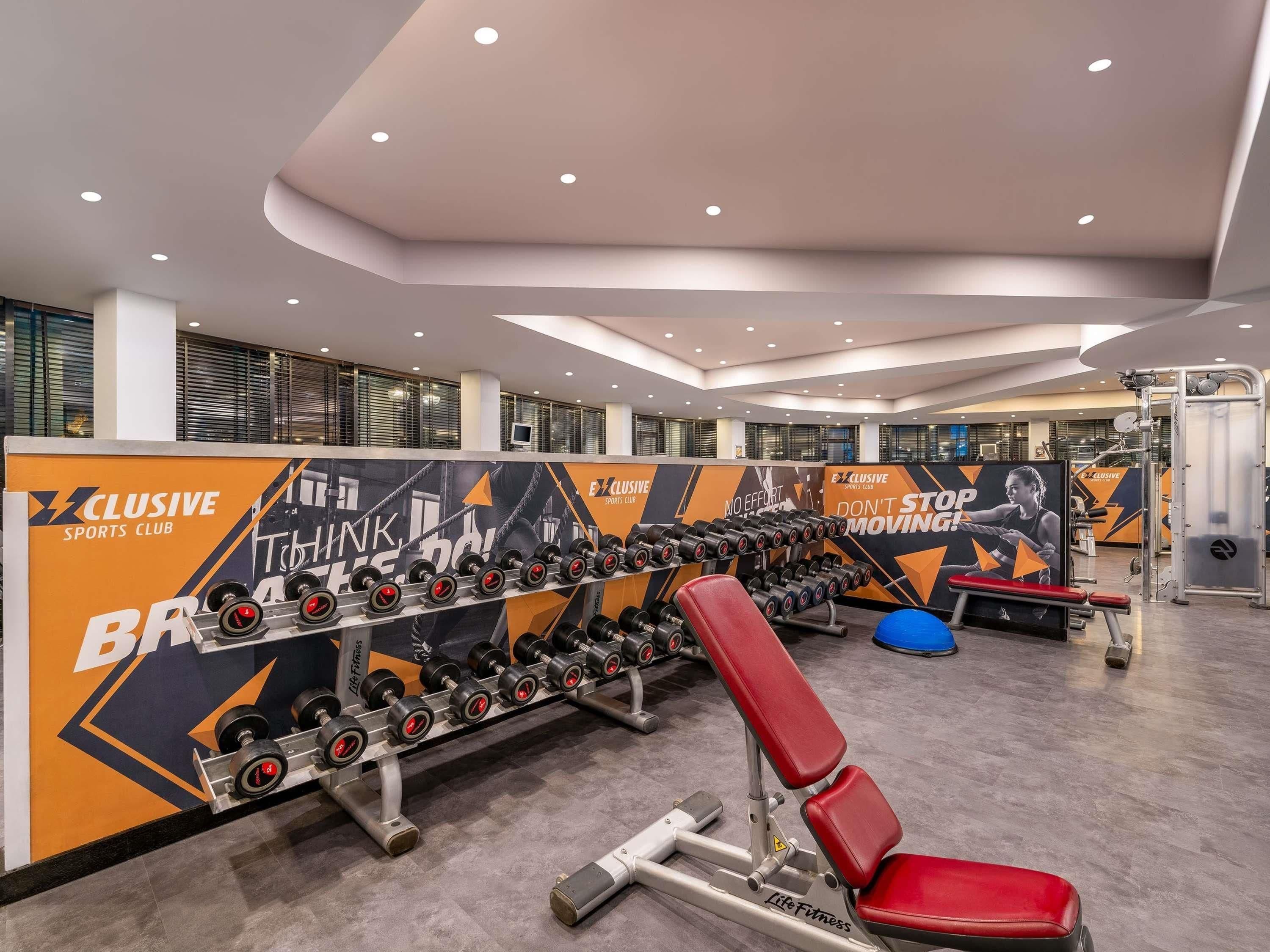 A gym with a wall-mounted dumbbell rack, a bench press, and a treadmill.