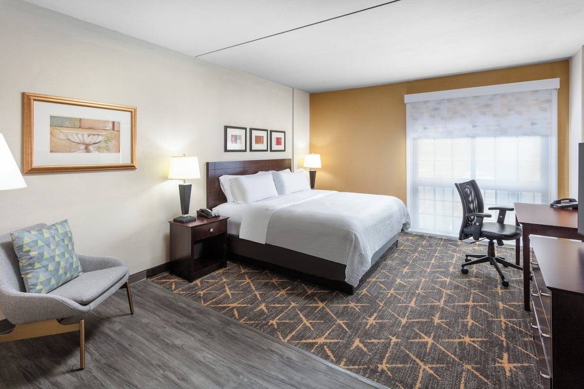 A hotel room with a bed, a desk, a chair, a lamp, and a window with a view.