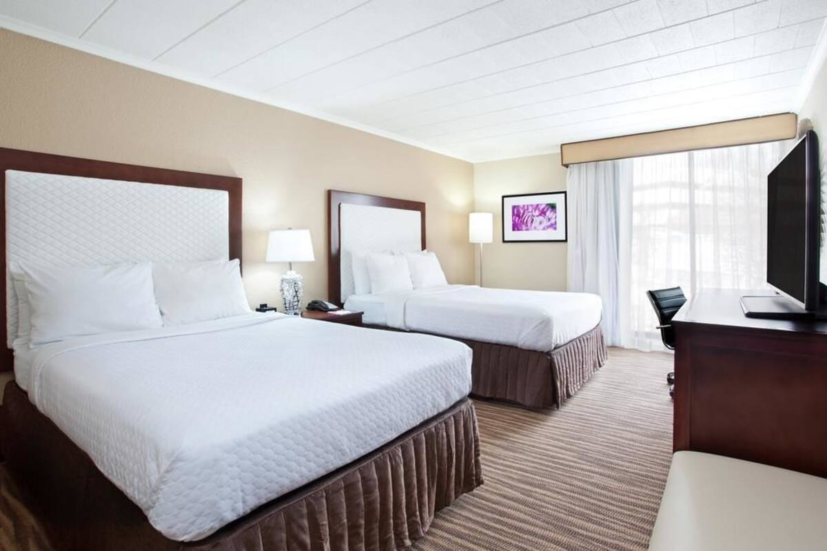 Premium bedding, desk, blackout drapes, WiFi (free)