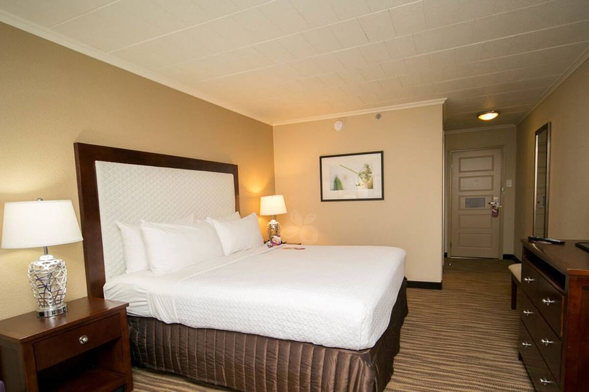 Premium bedding, desk, blackout drapes, WiFi (free)