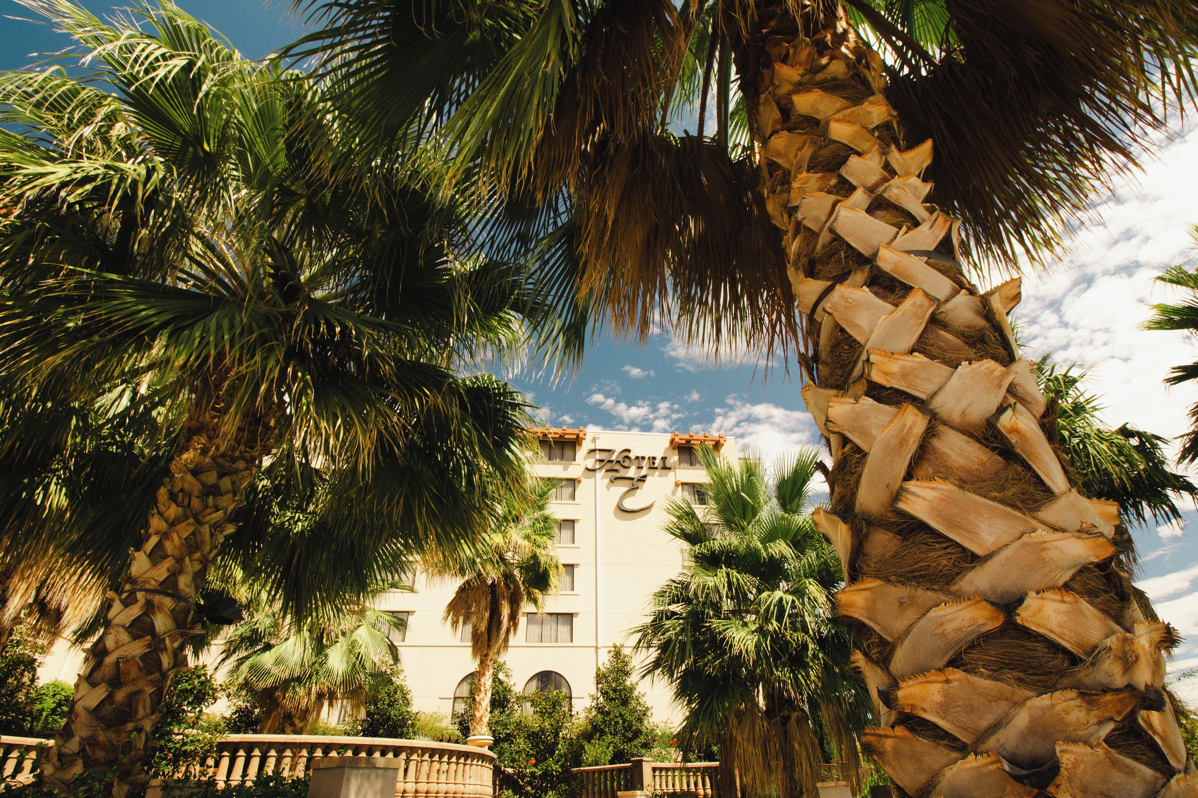 A hotel with palm trees and a stone balustrade.