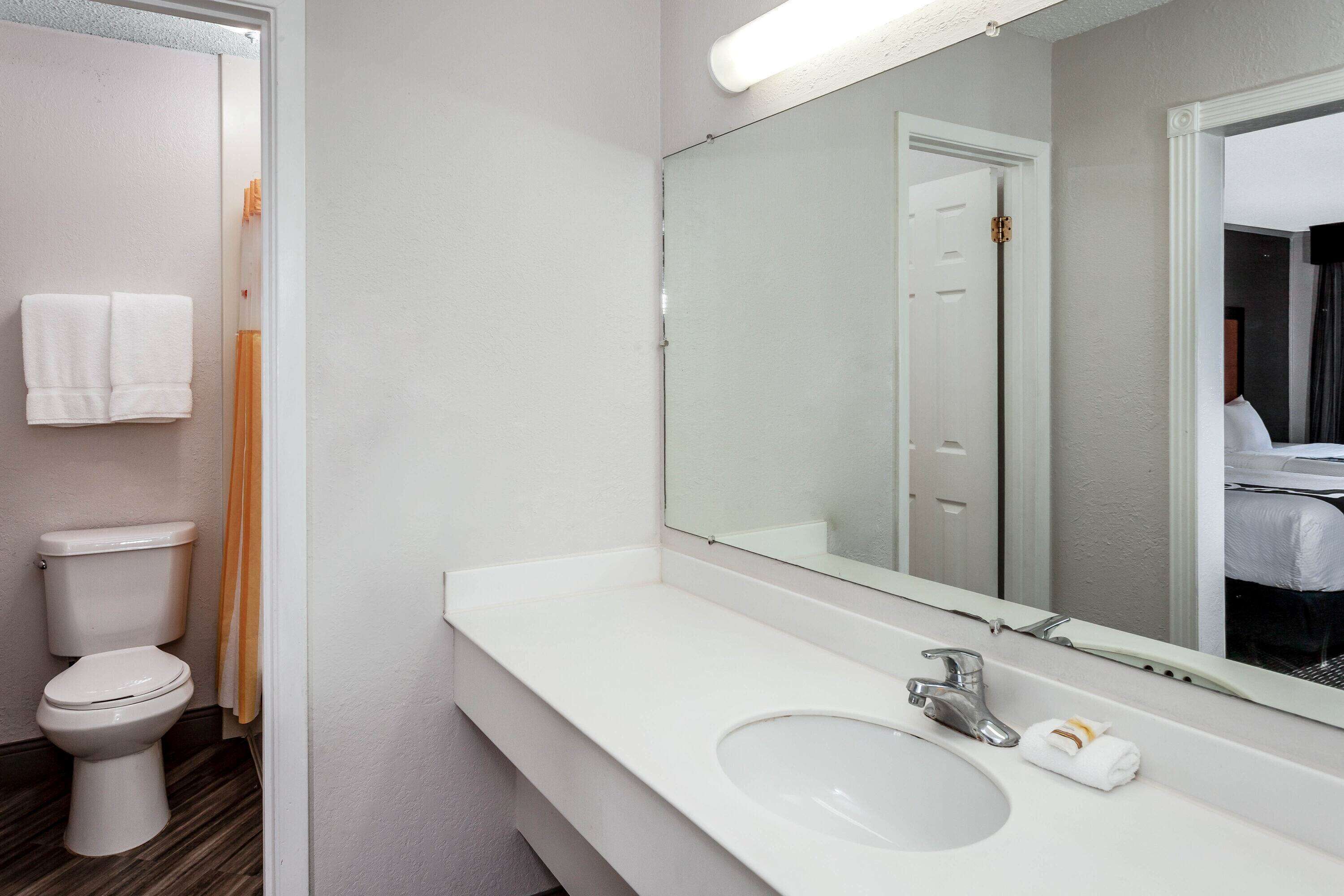 Een badkamer met een wit wastafel, een spiegel en een toilet.