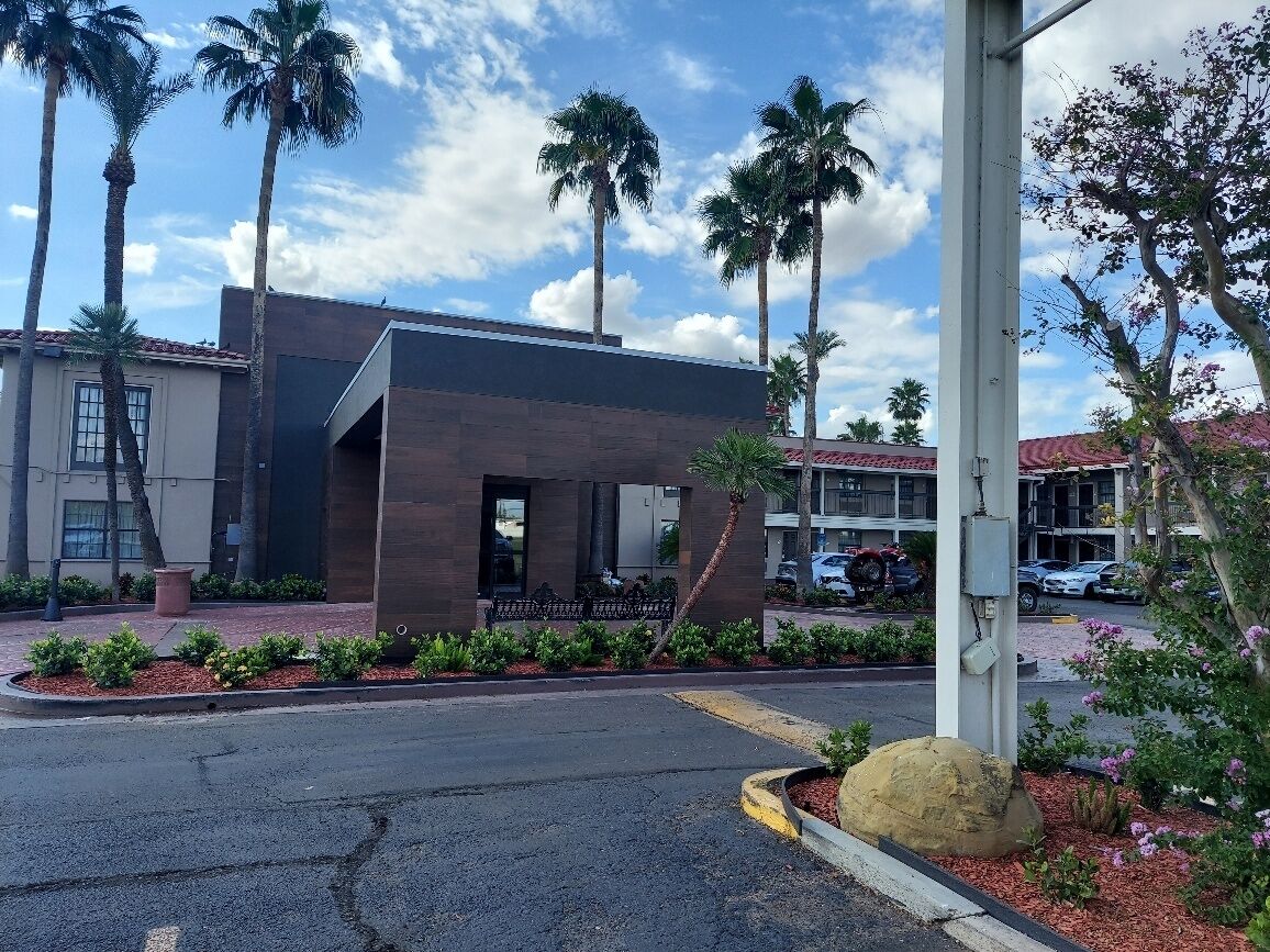 A modern building with a flat roof, surrounded by palm trees and a parking area.