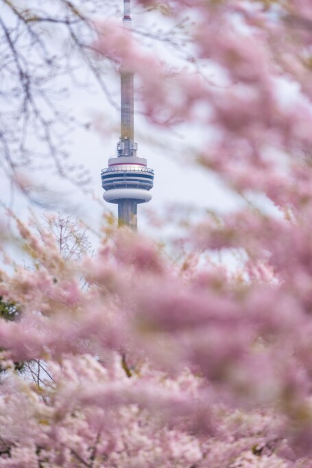 Park Hyatt Toronto - Image 50