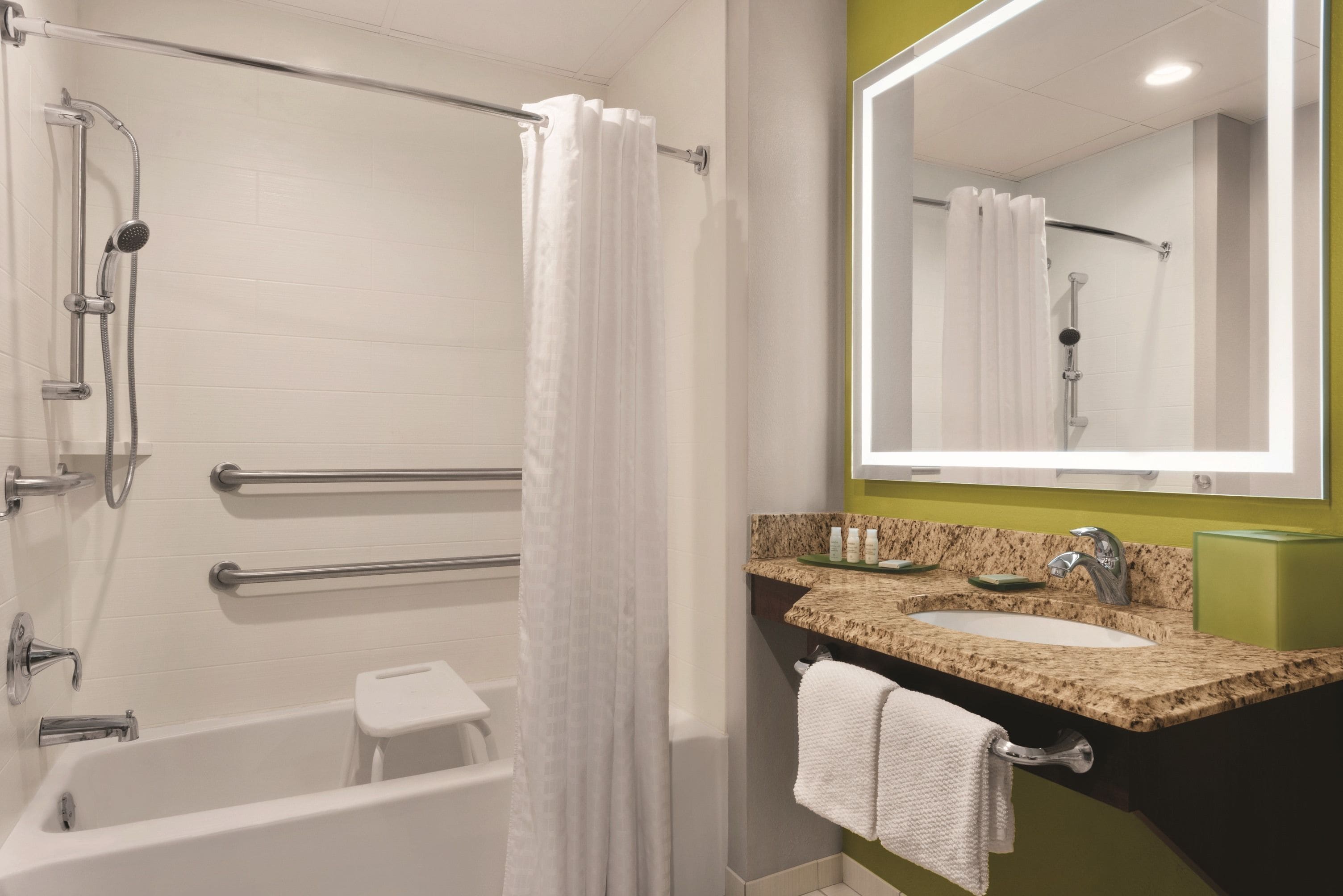 premier room, 1 king bed with sofa bed, accessible (sofa sleeper) | bathroom | combined shower/bathtub, designer toiletries, hair dryer, towels