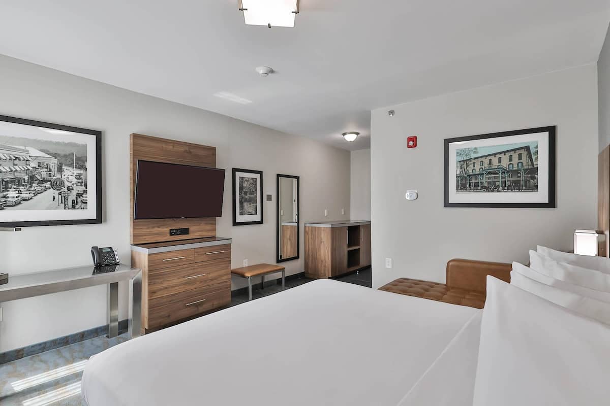 Habitación estándar, 1 cama de matrimonio grande, no fumadores | Ropa de cama hipoalergénica y escritorio