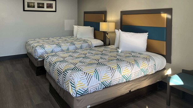 A hotel room with two beds, each with patterned bedding, a bedside table with a lamp, and a framed picture on the wall. - Motel 6 Greenville, NC – ECU-Medical Center (Greenville)