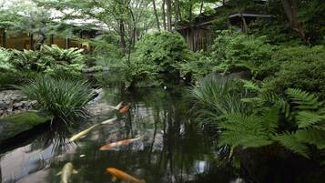 Jardín japonés