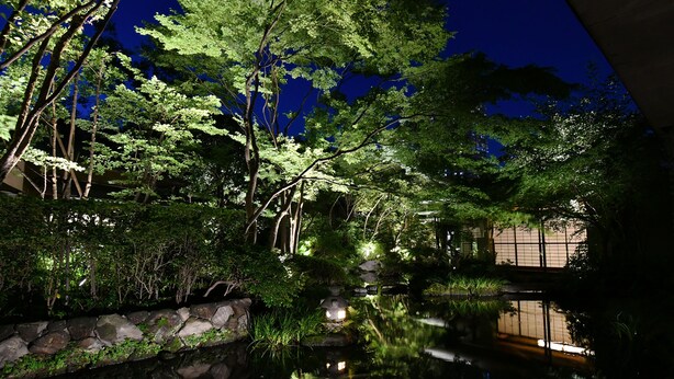 Ein Garten bei Nacht mit Teich, Bäumen und einer Steinmauer.