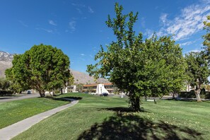 BBQ/picnic area