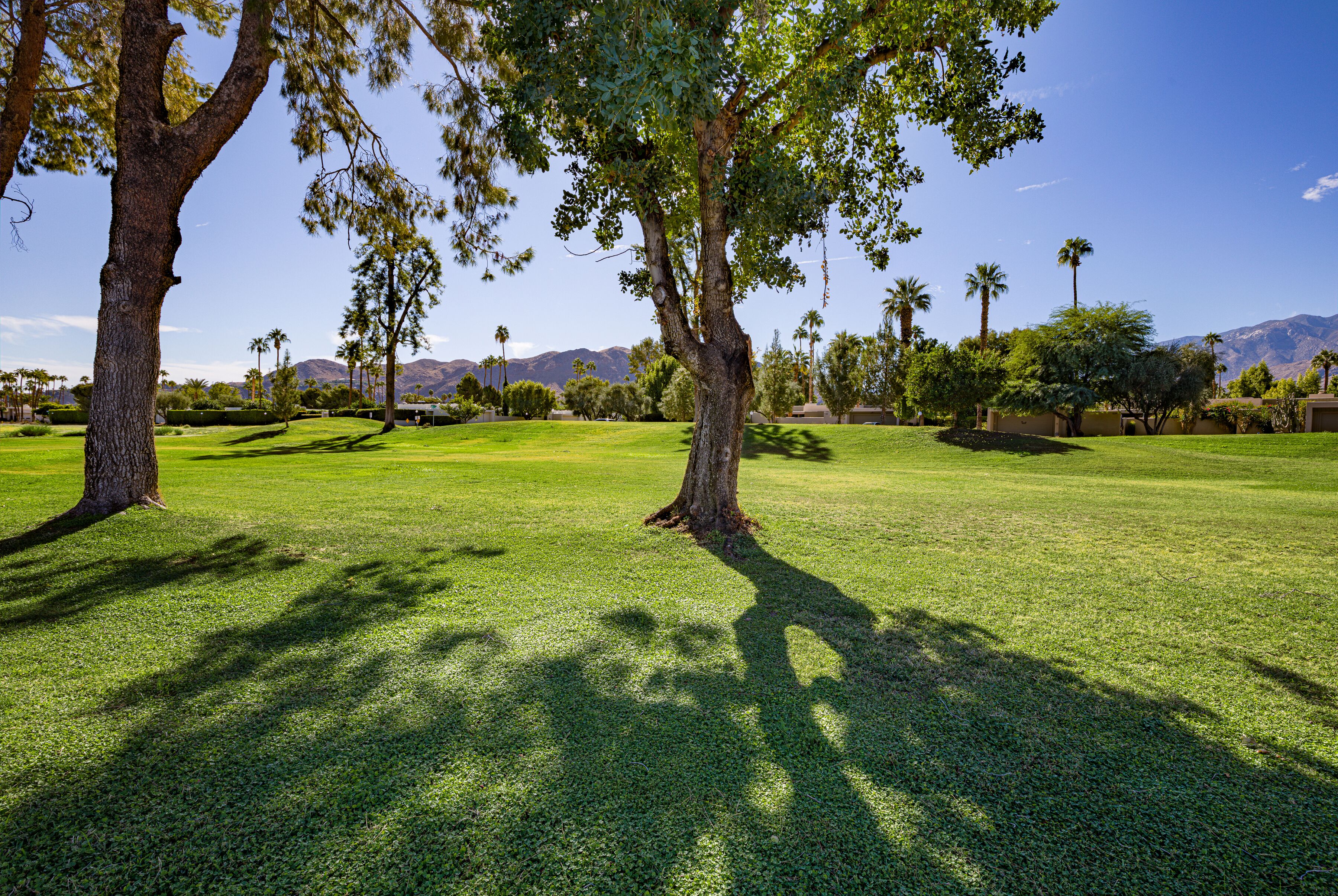 Foto - Travelodge by Wyndham Palm Springs