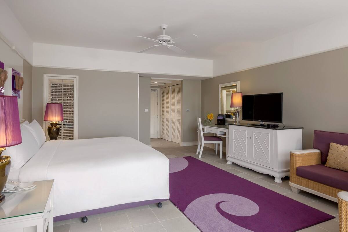 A hotel room with a bed, desk, TV, and a purple rug.