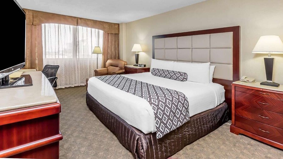Wyndham Houston near NRG Park/Medical Center