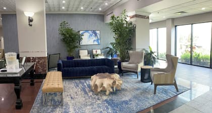 Wyndham Houston near NRG Park/Medical Center