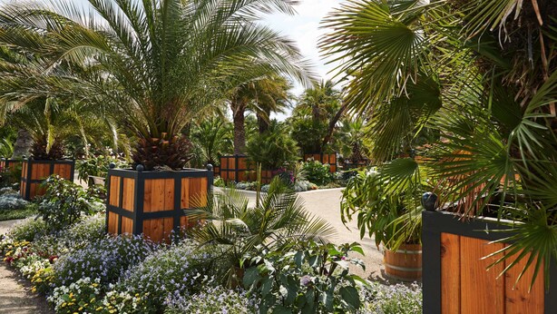 Een tuin met verschillende planten en een houten omheining.