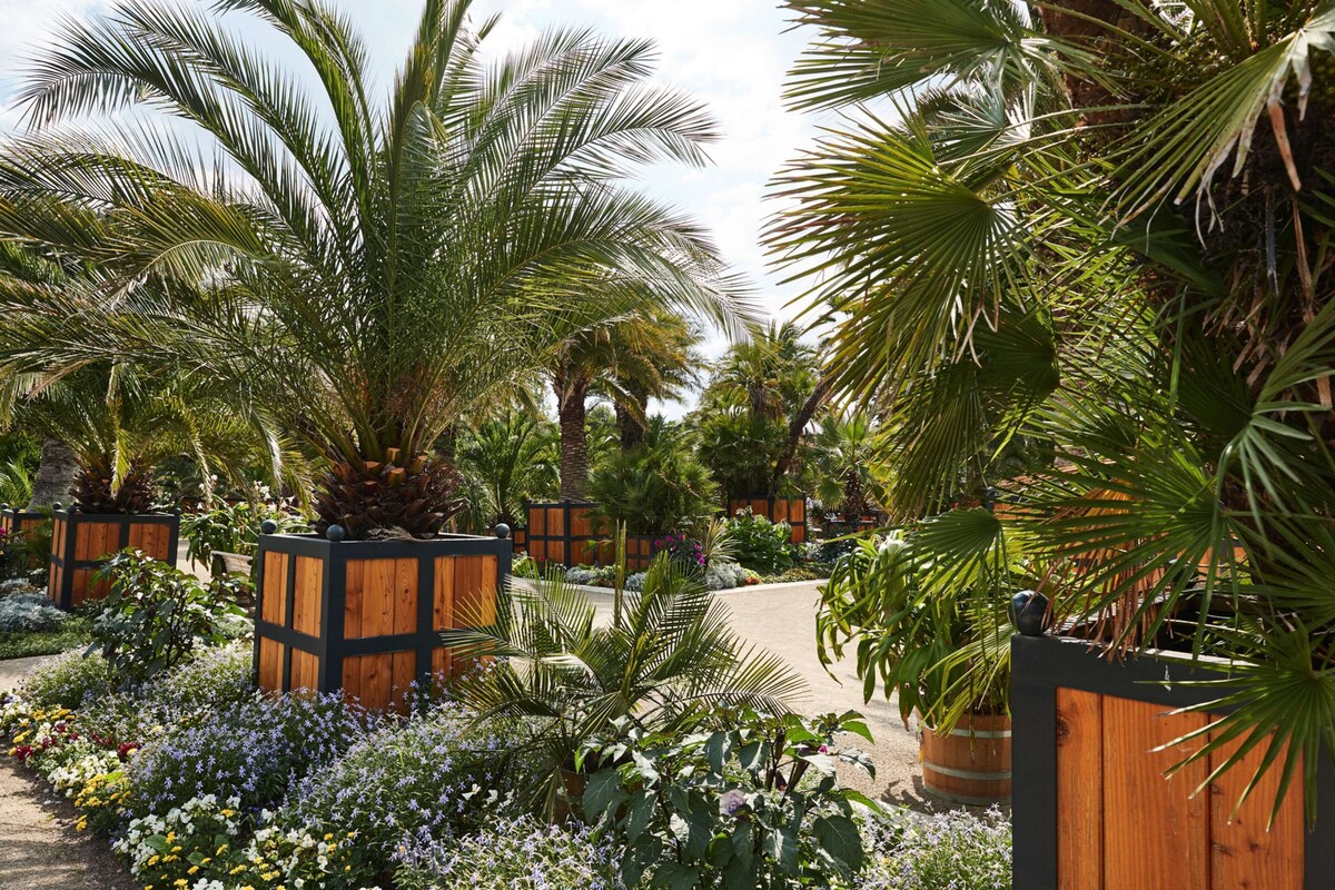 Hotel & Spa Bad Pyrmont