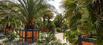 Steigenberger Hotel & Spa Bad Pyrmont