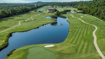 Servicio de la propiedad