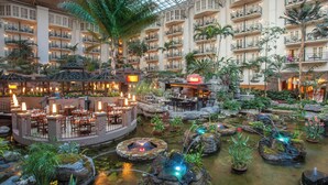 Un vestíbulo de hotel con varias zonas de comedor, un elemento acuático central con formaciones rocosas y balcones con plantas.