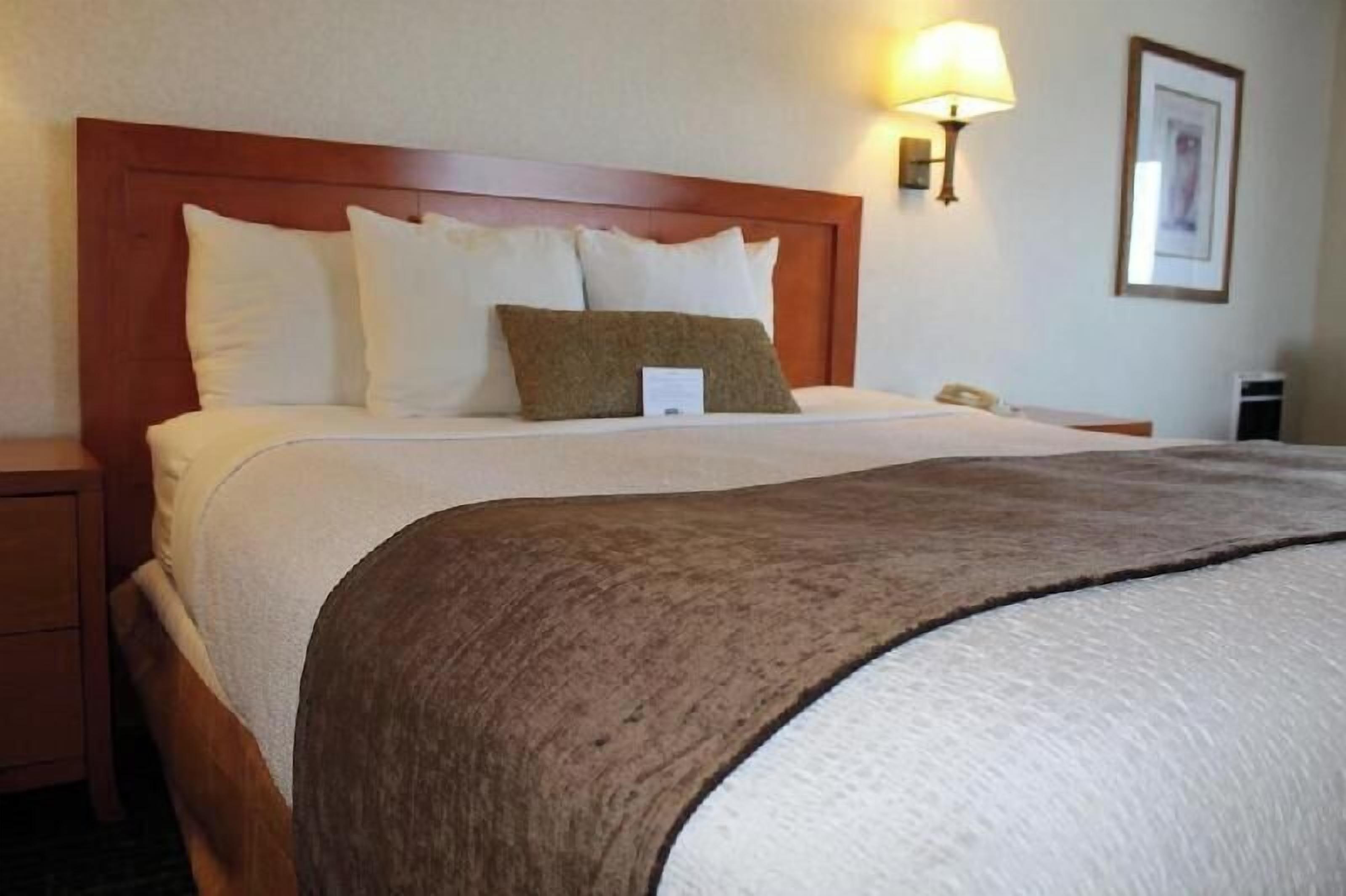 Premium bedding, in-room safe, desk, blackout drapes