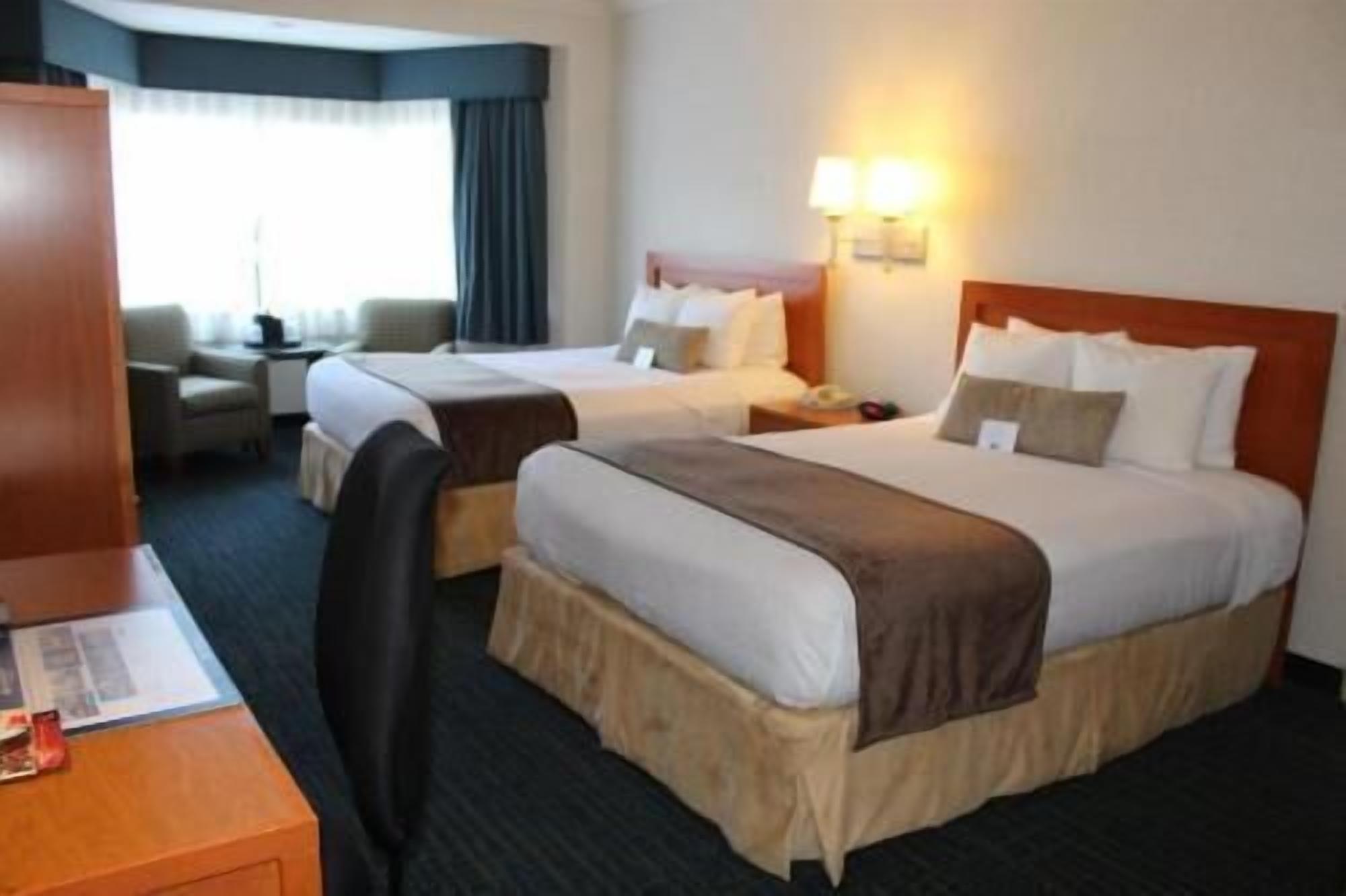 Premium bedding, in-room safe, desk, blackout drapes