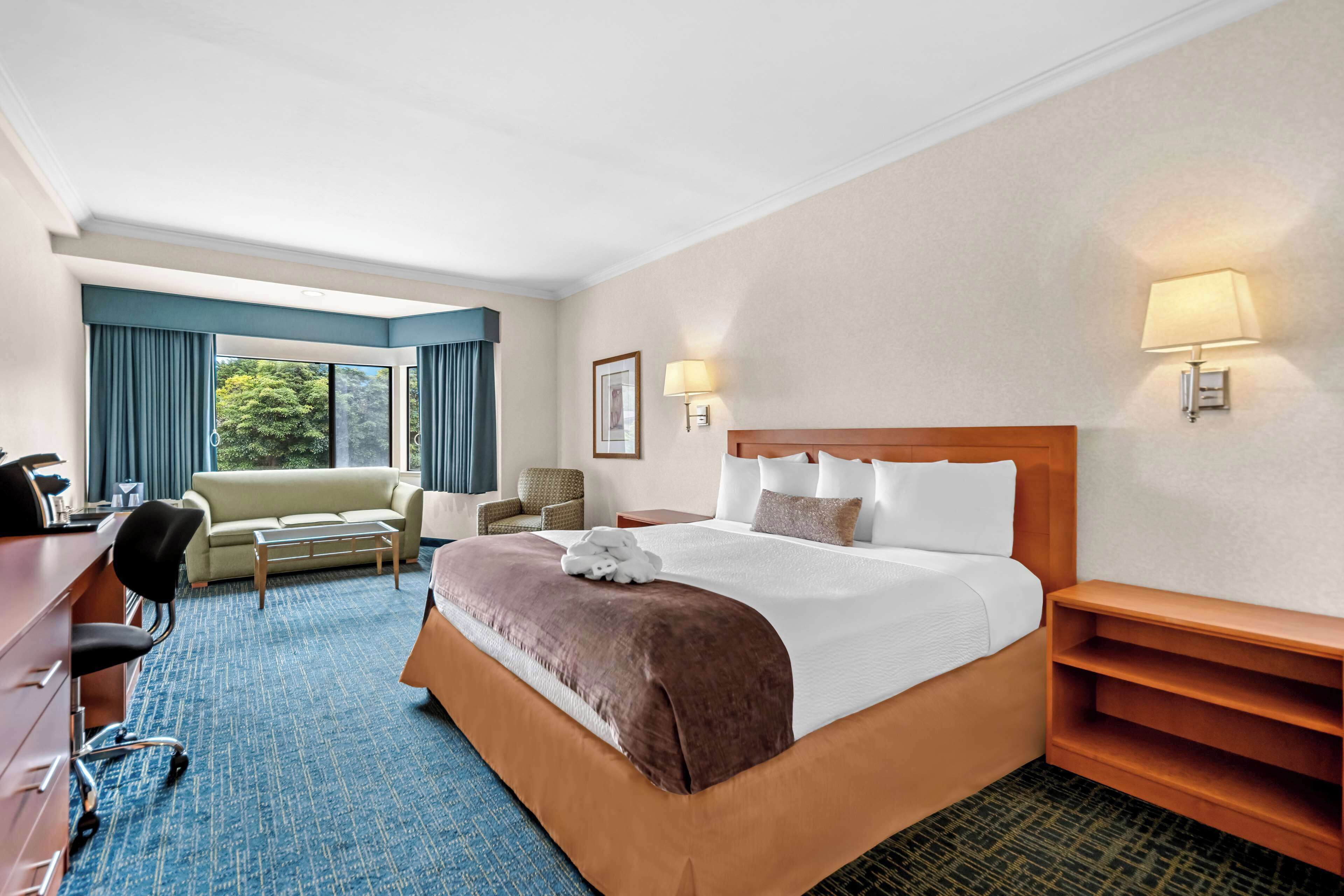 A hotel room with a large bed, a desk, a chair, a sofa, and a view of the outdoors.