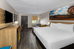 Habitación de hotel con cama, escritorio, silla, televisor, ventana con persianas y un cuadro en la pared.