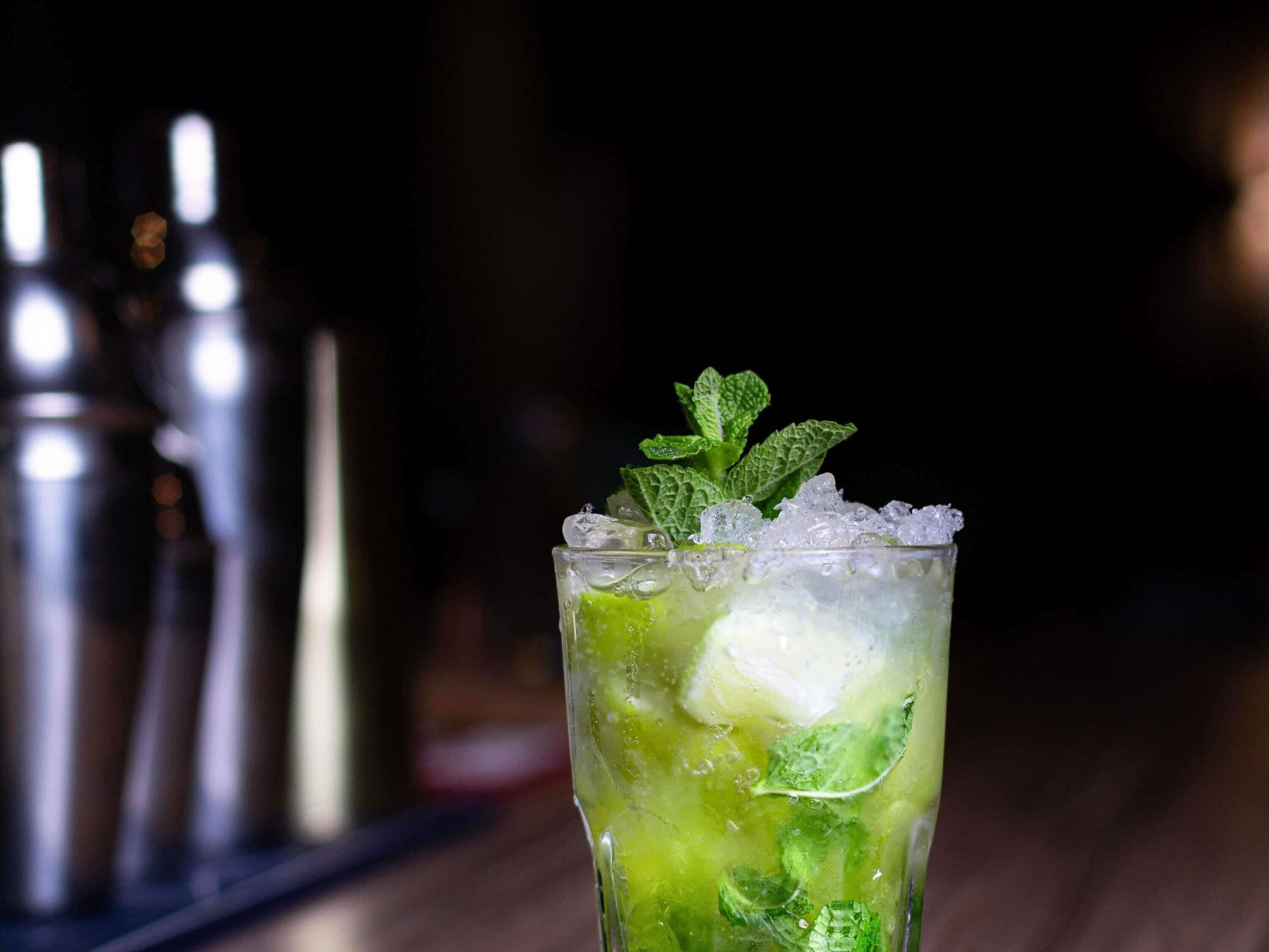 Un vaso de cóctel con hielo y una ramita de menta.