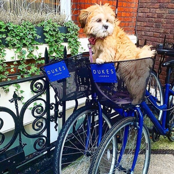 Bicycling