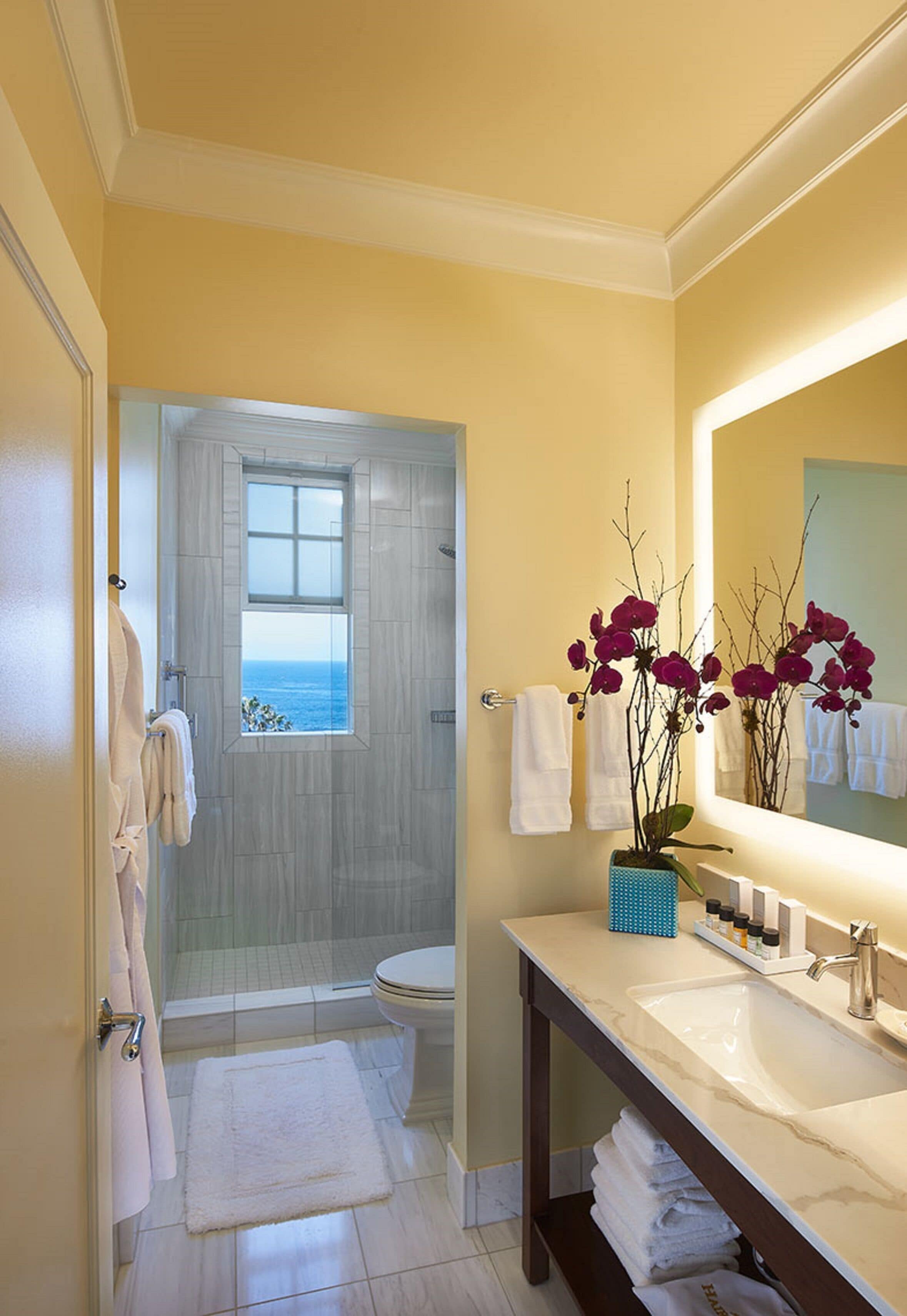 A bathroom with a large mirror, white sink, and a shower with a view of the ocean.
