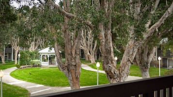 Vista desde la habitación