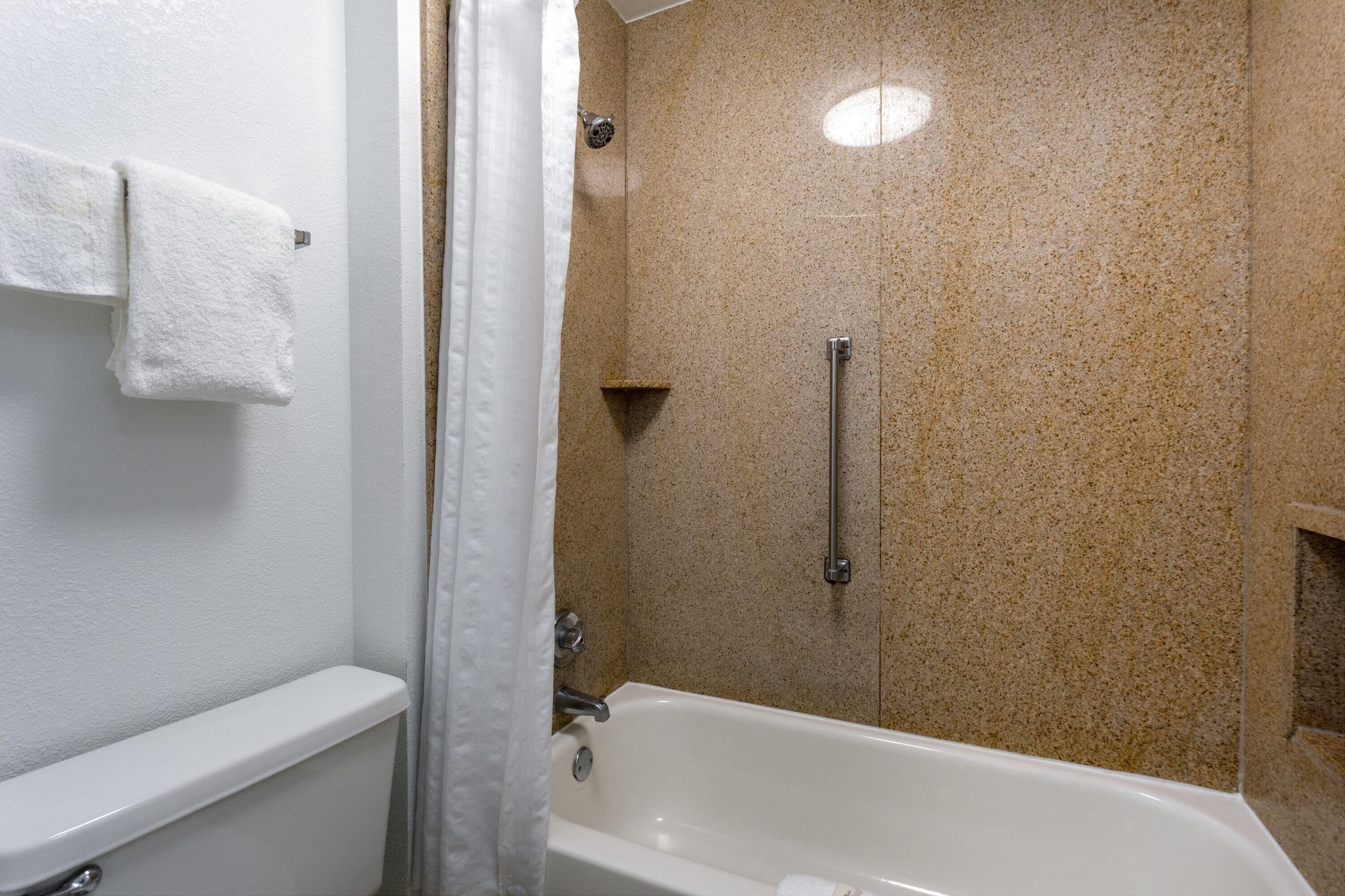 Une salle de bain équipée d’une baignoire, d’une douche et de toilettes.