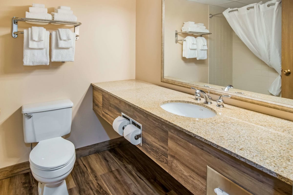 free toiletries, hair dryer, towels