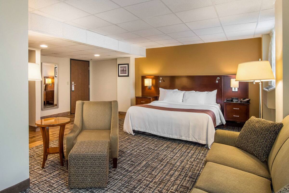 Standard Room, 1 King Bed, Non Smoking | Desk, iron/ironing board, free WiFi, bed sheets