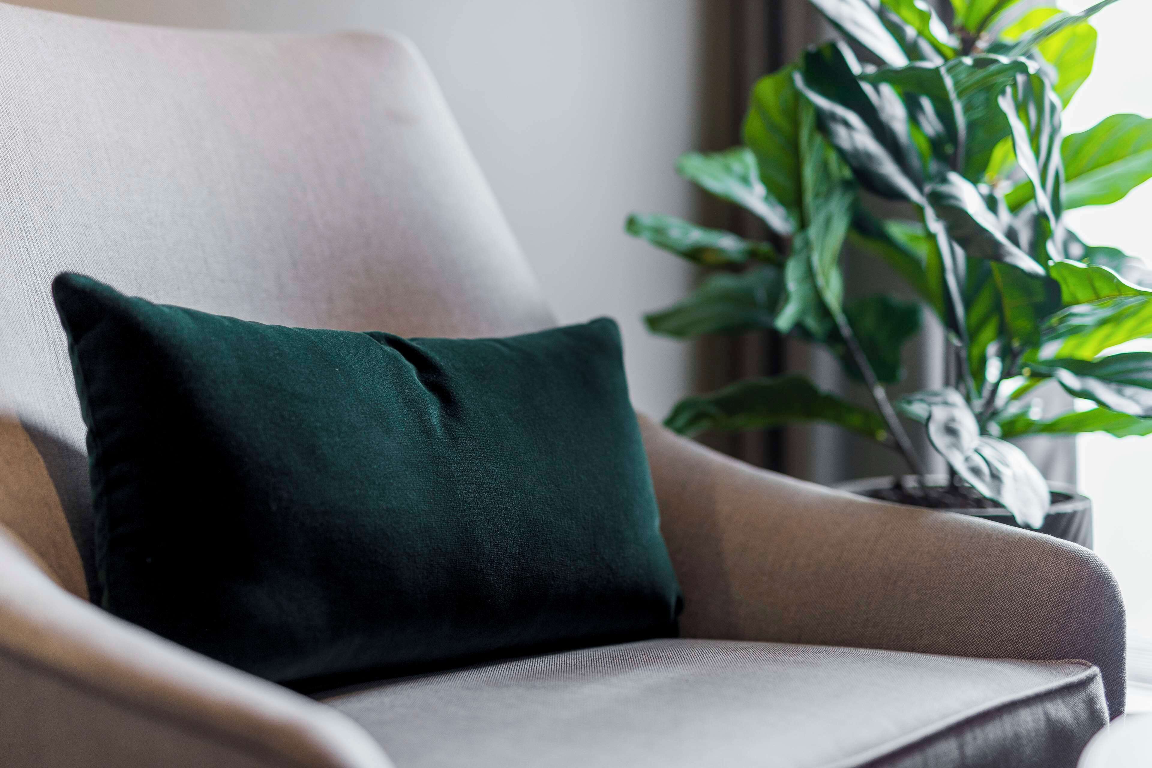 single room | 1 bedroom, in-room safe, desk, blackout curtains