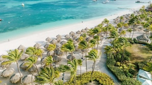 A beach with white sand, palm trees, and thatched umbrellas. - Hilton Aruba Caribbean Resort and Casino (Noord)