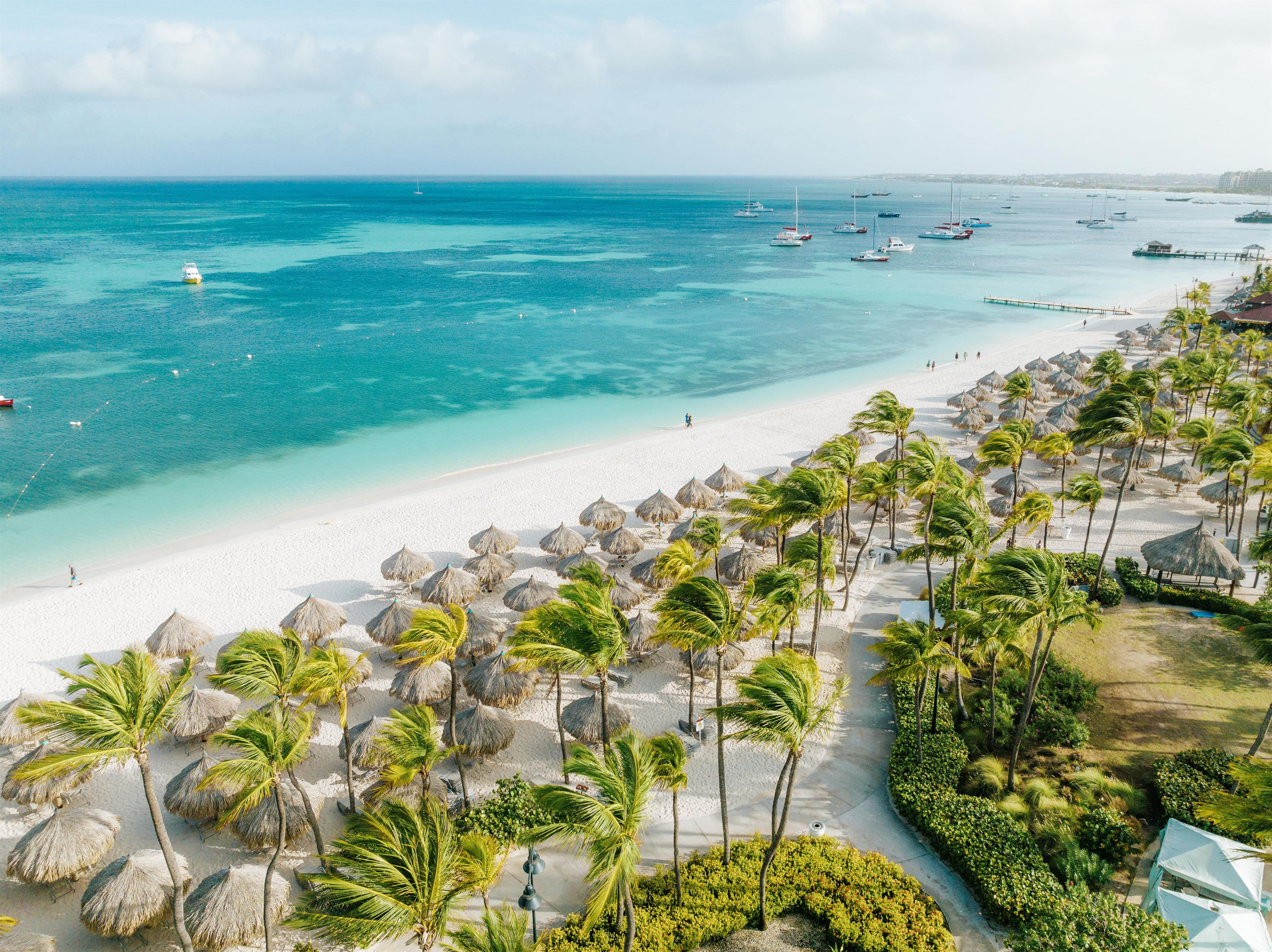 A beach with white sand, palm trees, and thatched umbrellas.