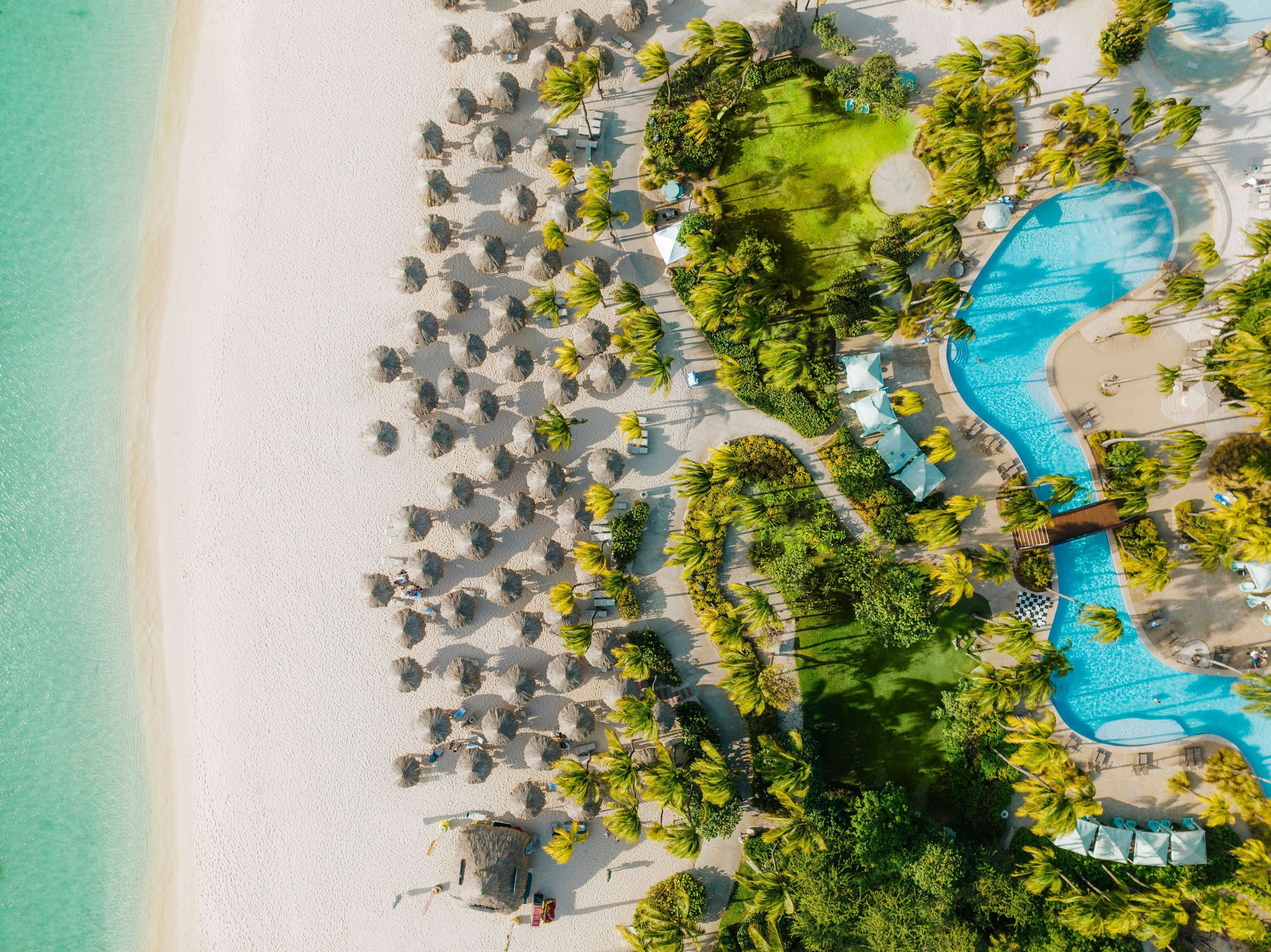 Luchtbeeld van een strandresort met een groot zwembad, talloze palmbomen en strandparasols.