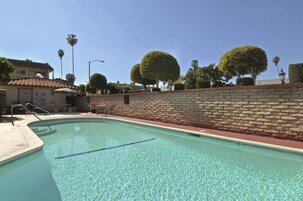 Una piscina con agua cristalina, rodeada de un muro de ladrillo y palmeras.