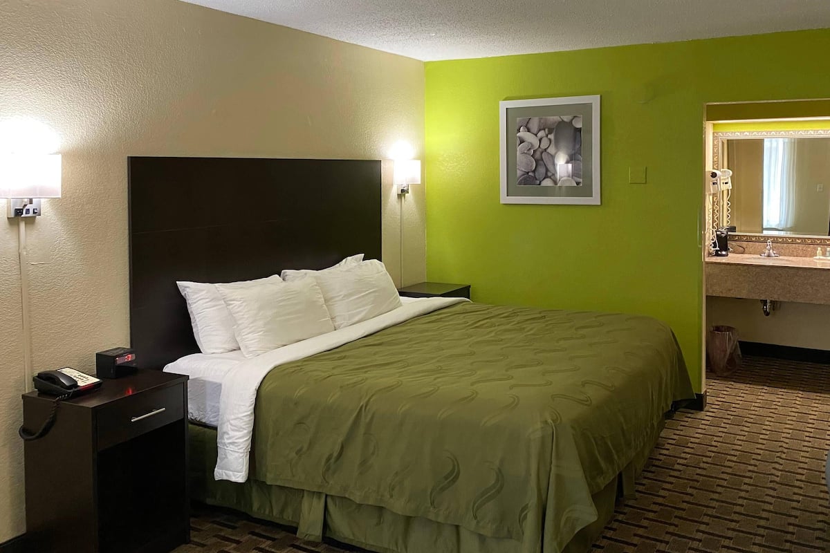 A hotel room with a bed, bedside table, lamp, and a green wall.
