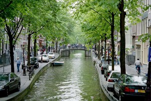 Un canal bordé d’arbres et de voitures garées, avec un pont qui se dessine au loin.
