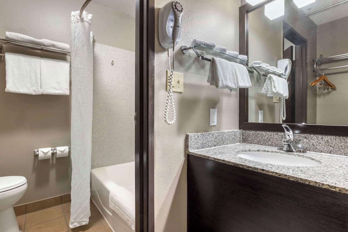 combined shower/bathtub, free toiletries, hair dryer, towels